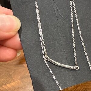 Elegant Silver Twig Necklace